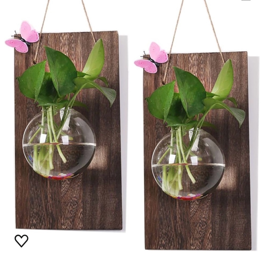 air Plant terrarium